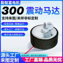 RF300ֱR_늙CΑֱĦ΢ƫ݆늄