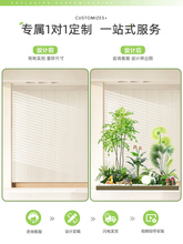 �Gֲ�쾰�����¾W�t�����bᎧ�M���̨�҃Ⱦ��^��ֲ���쾰