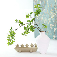 ������R�ձ��R��ľ������Ա��W�L�҃ș����bپGֲ���^�����~