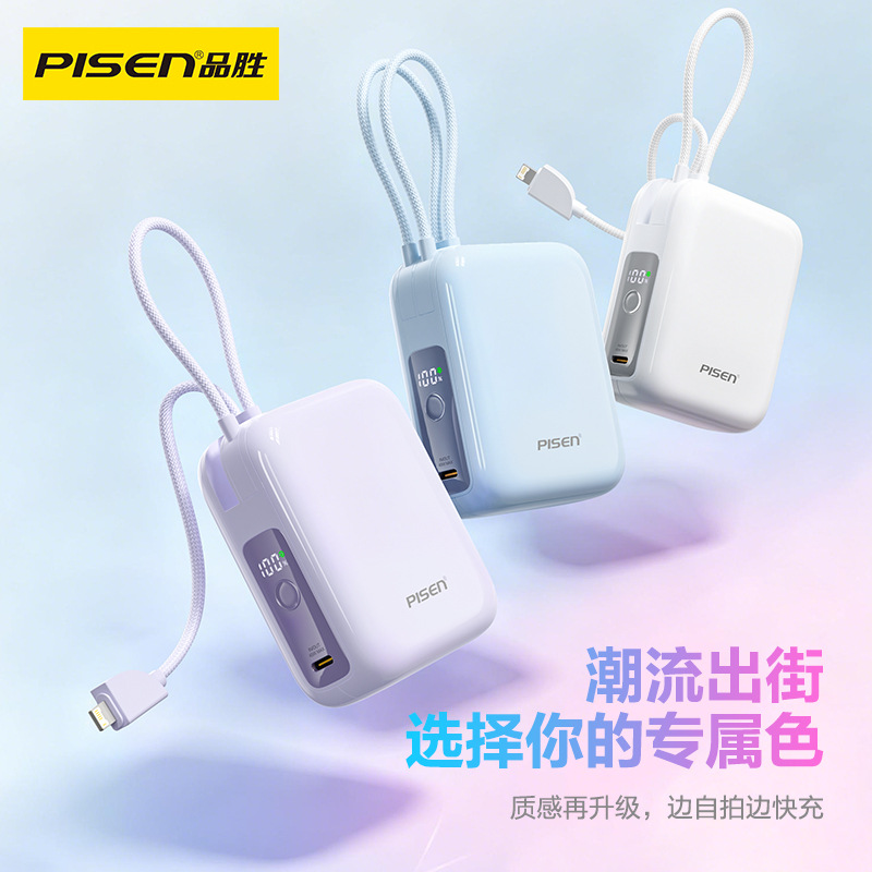 广东品胜电子股份有限公司