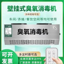 新款壁挂式臭氧消毒机垃圾站食品厂养殖场臭氧发生器消毒杀菌除臭