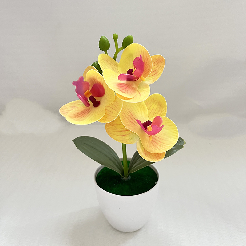 노란색 (가로 20cm 세로 11cm)