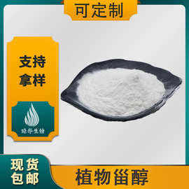 植物甾醇 玉米提取 琼华供应 豆甾醇  量大优惠 植物甾醇