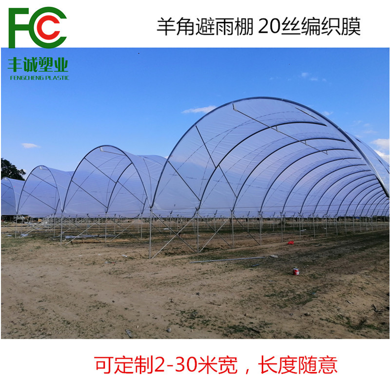 耐老化羊角避雨棚120克透明篷布 防雨布抗风PE膜耐用抗晒 抗老化