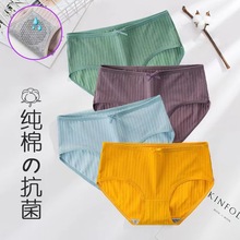 夏季薄款内裤纯棉女批发抗菌裆中低腰女士内裤透气大码内裤全棉女