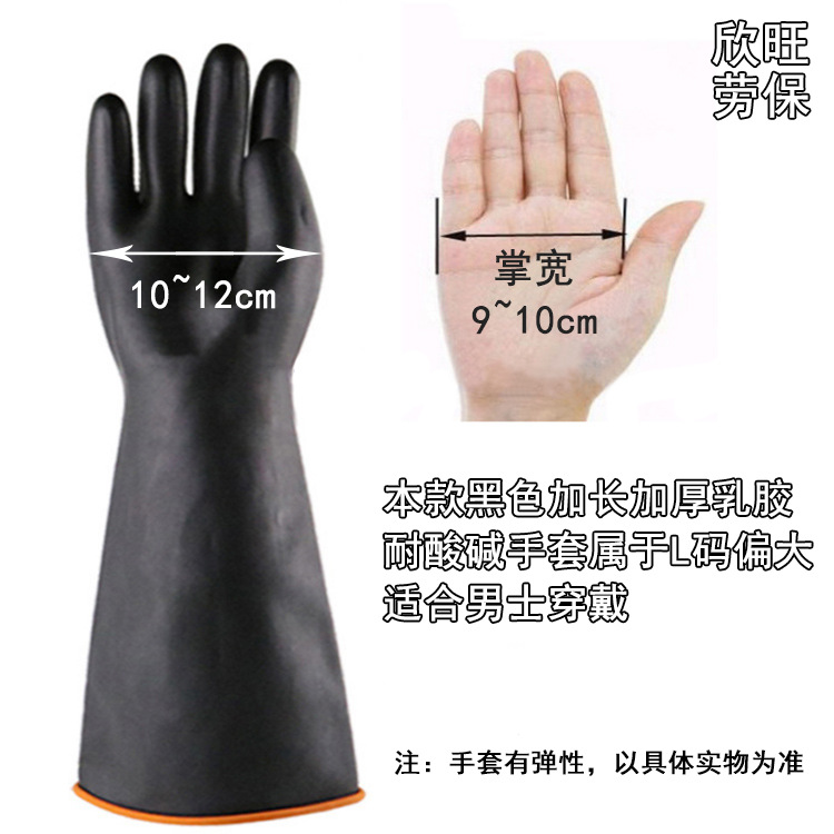 手掌
