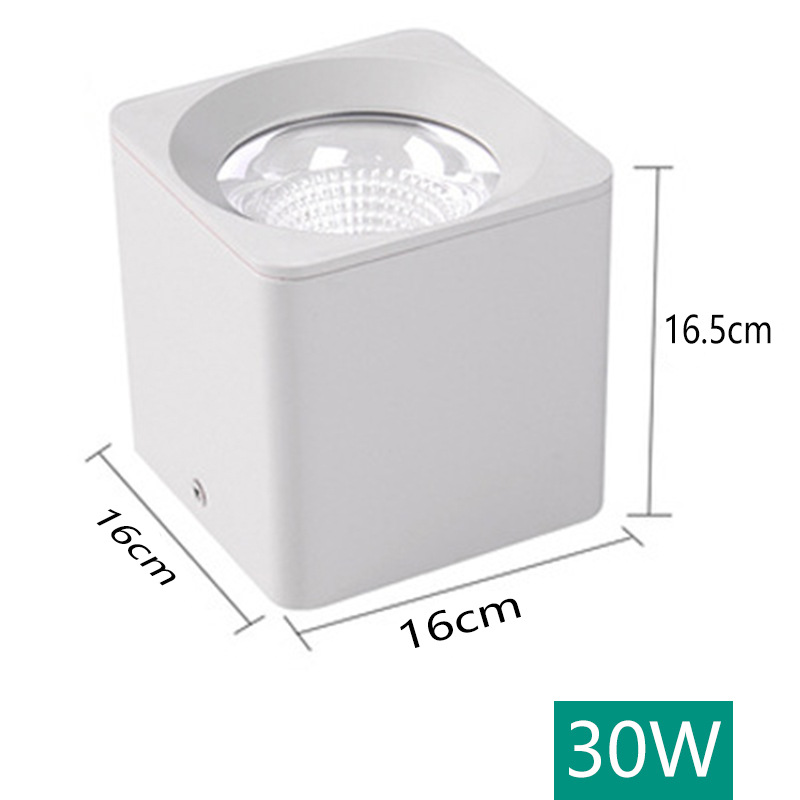 30w white light [6000k] white shell
