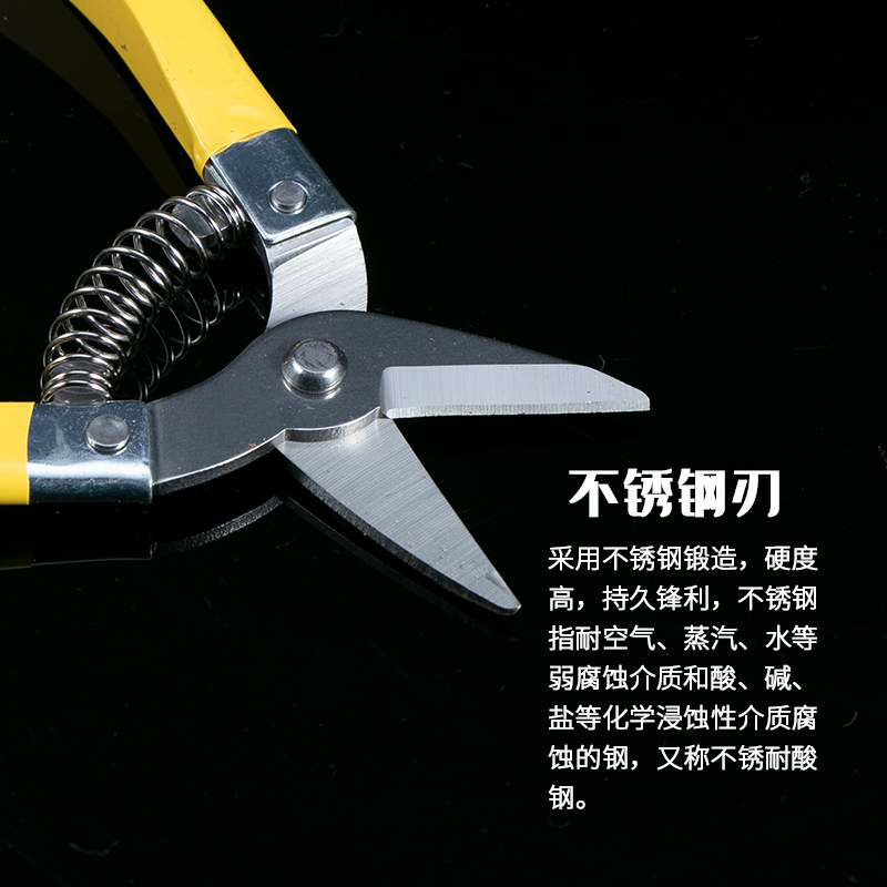 Stainless steel large fruit picking scissors, grape scissors, orange and tangerine fruit scissors, straight head fruit picking branch scissors, round head gardening fruit picking scissors