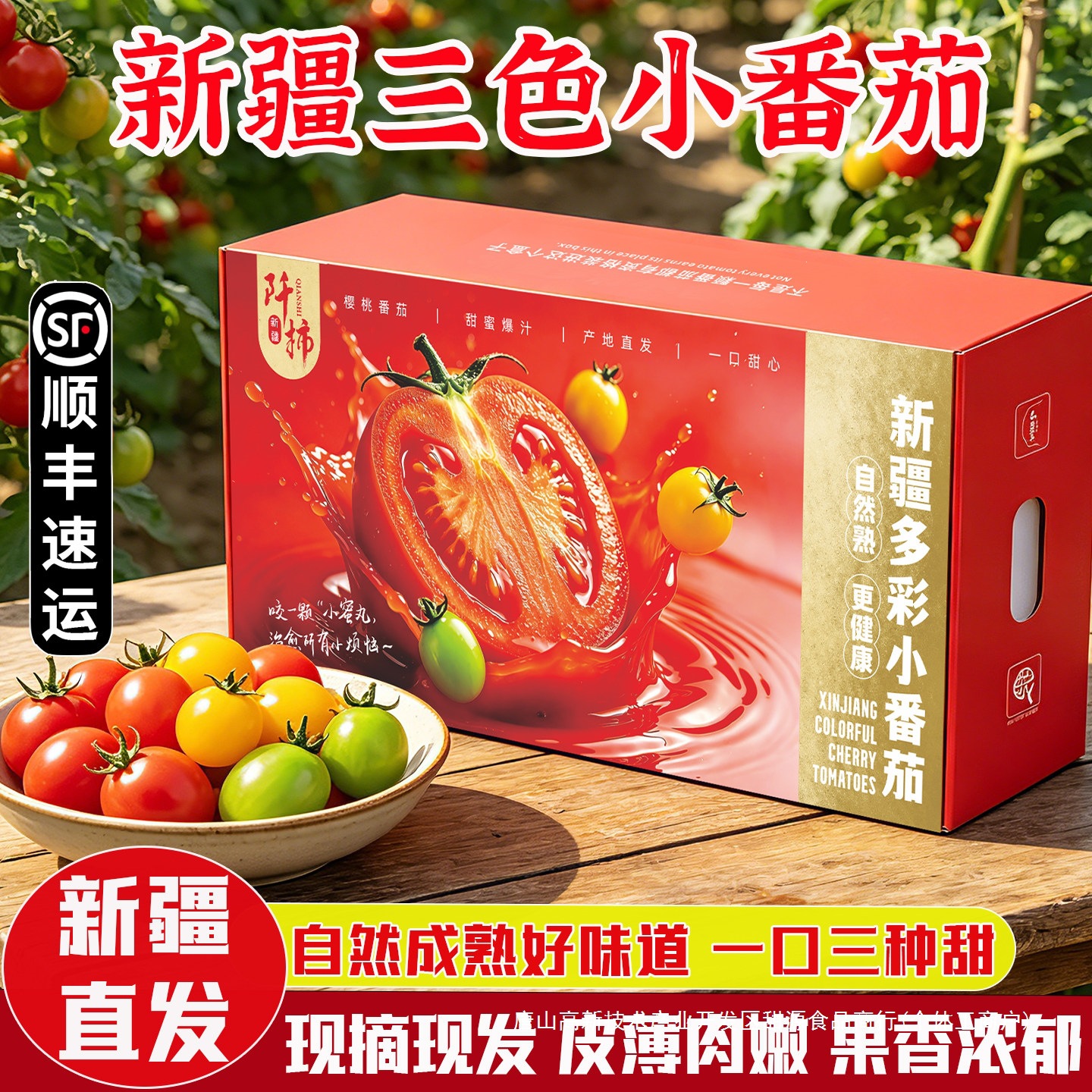 新疆三色小番茄圣女果新鲜水果礼盒装西红柿新鲜水果3斤顺丰包邮