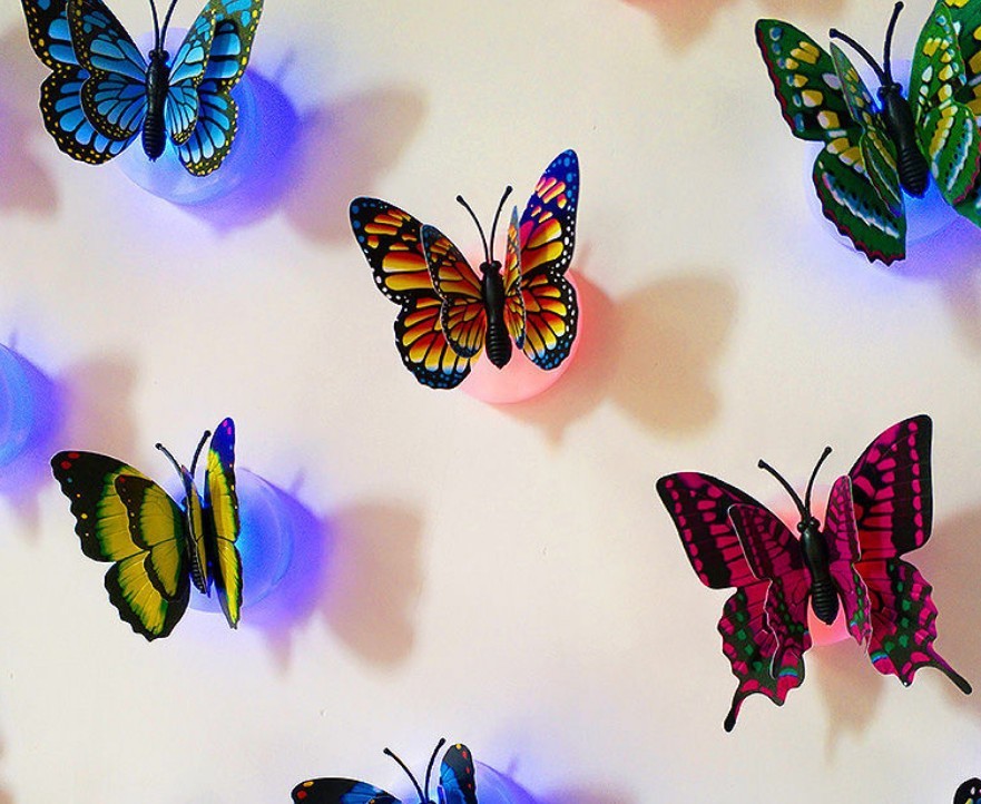 20019741040_1334190311