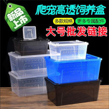 大号宠物饲养盒带透气孔活体爬虫箱蜘蛛蝎子守宫角蛙乌龟饲养箱