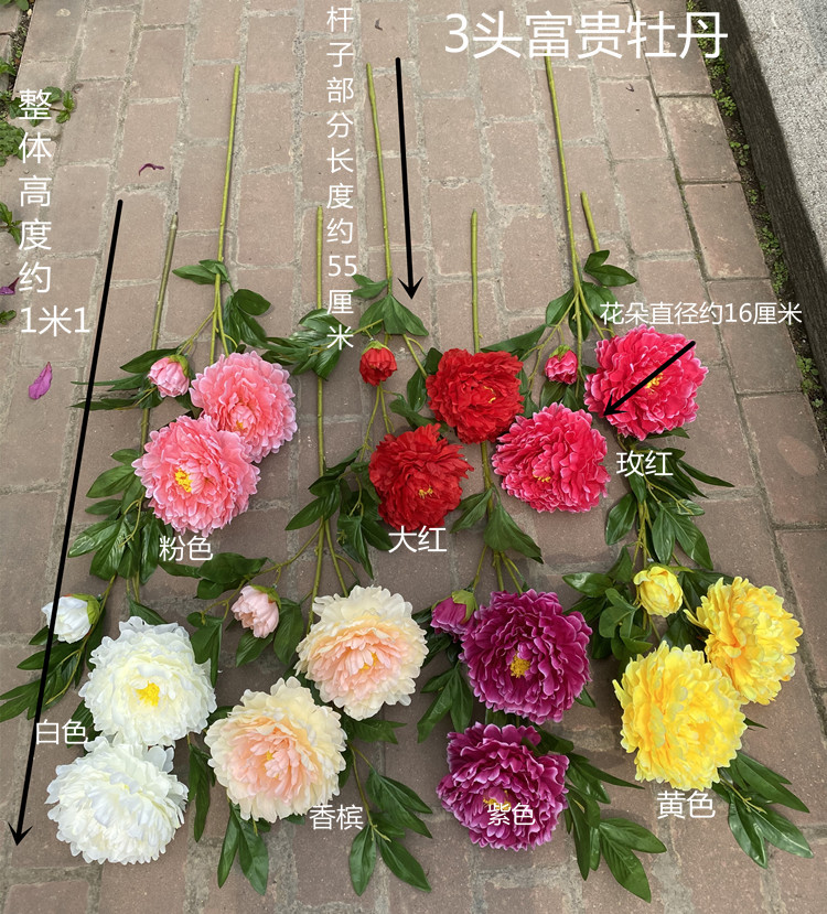 微信图片_20210317172906_副本