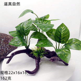 ϲ~쾰ˮֲˮȫbˮݼɽС[