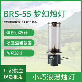 BRS-55�o��о�T������Ұ�I����������������С�������T��¶�I