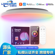 亚马逊涂鸦智能RGBCW吸顶灯超博卧室客厅APP语音控wifi LED吸顶灯