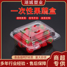 一次性水果盒商超打包盒塑料果蔬盒一次性透明草莓盒水果包装盒