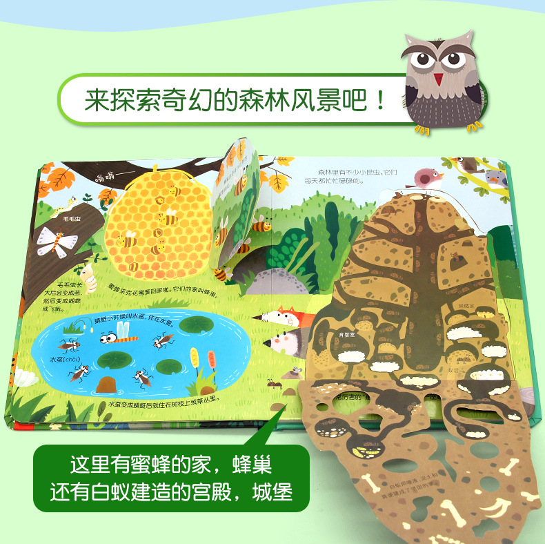 详情图