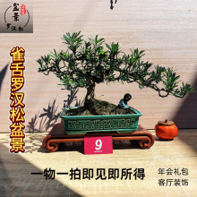 cYƷ_h辰lؔ҃ȿ͏dY]