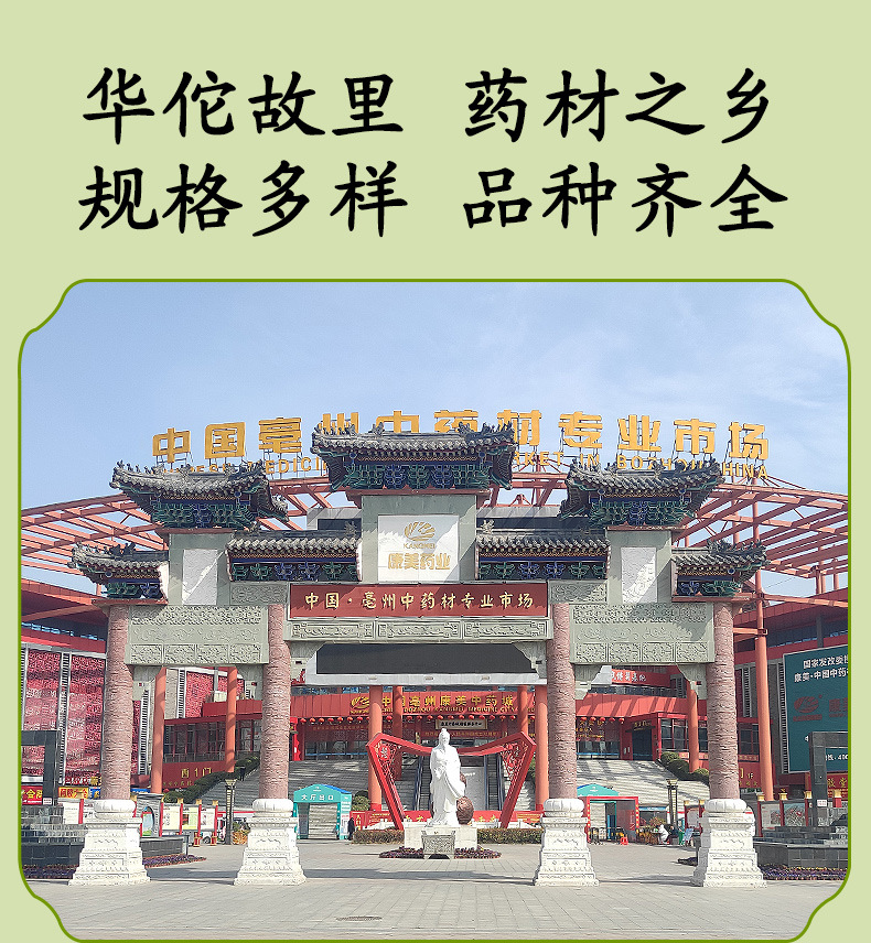 Qin Jiao Slices (Gentiana macrophylla) — Dried Large-Leaf Gentian Root, Unsulfured 500g preparation