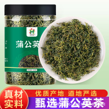 蒲公英茶正品新鲜散茶干货瓶装婆婆丁浦公英叶