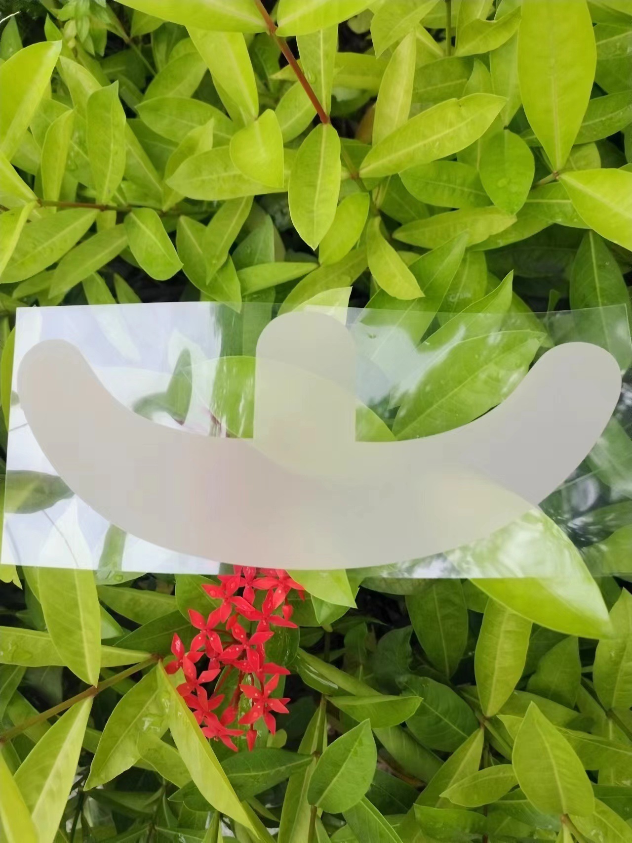 O1CN018vFyYj1TGBDpcLSlu_!!2209