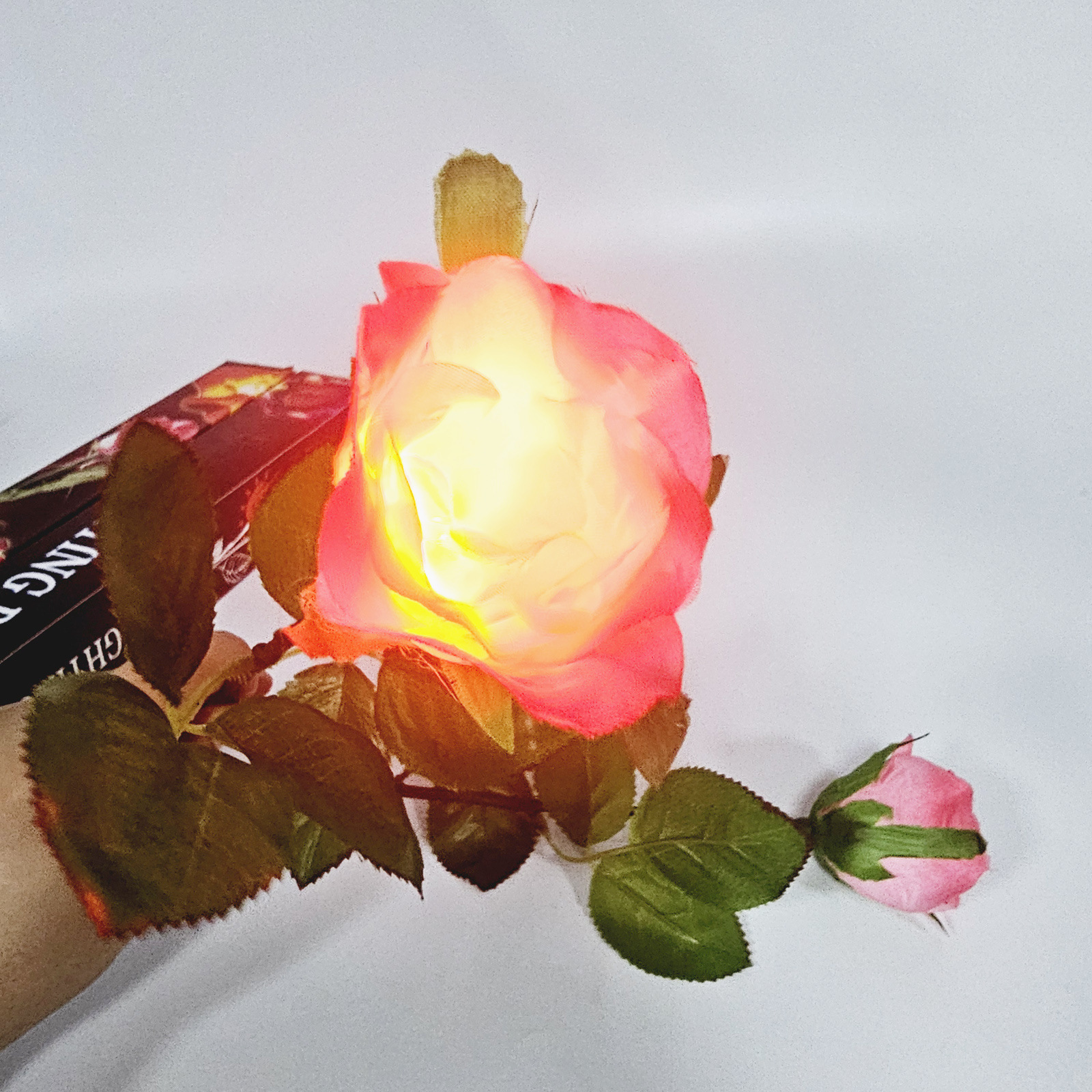 G1206 idea rose magnetic control