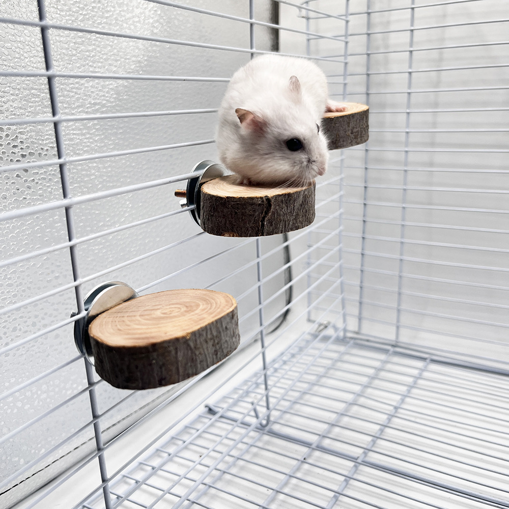 Juguete de hámster, marco de estación de pájaro loro, tronco, madera de manzana, plataforma redonda, accesorios para jaulas de pájaros, juguete de mordisco de madera para mascotas pequeñas image 3