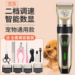 �羳���I������ë����Ƽ���������Ȯ����әC���ʌ���ꌣ��