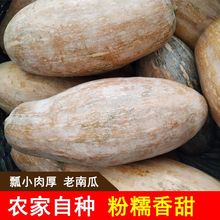 【甜】老南瓜农家蔬菜新鲜甜糯黄南瓜现摘宝宝辅食非小贝贝瓜