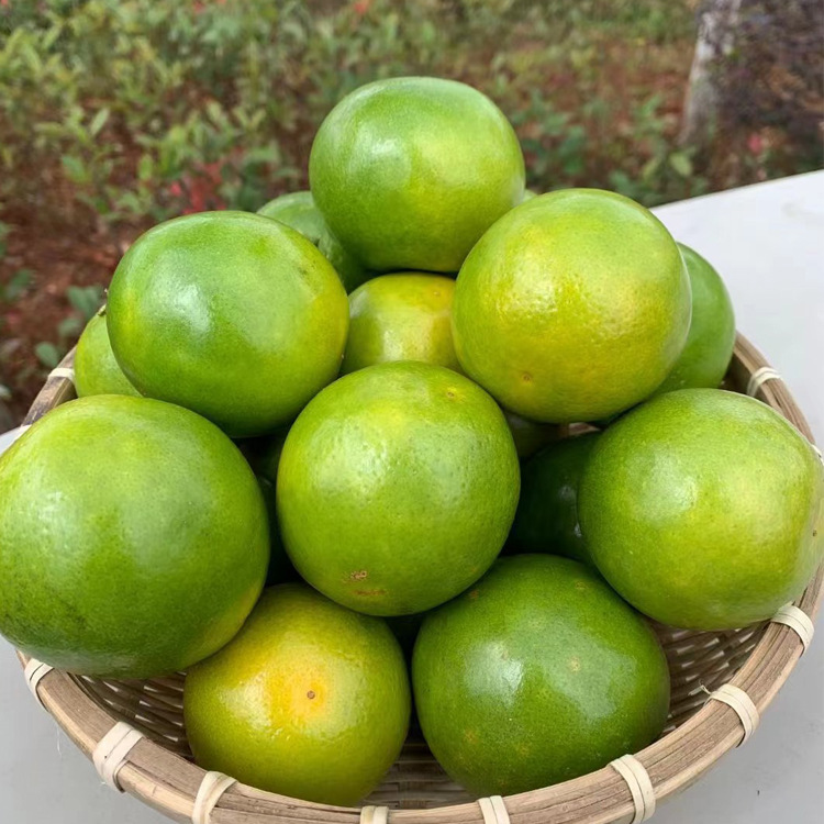 Yunnan Ailao Mountain candied orange, green-skinned orange, fresh fruit, mountain orange, hand-peeled orange, whole box candied orange, one-piece dropshipping
