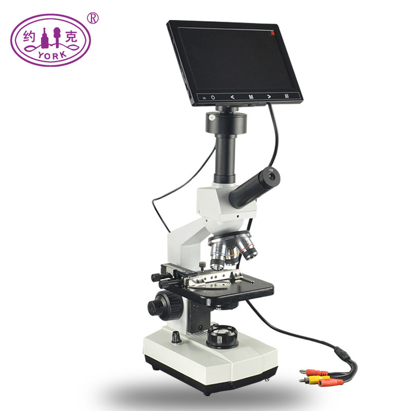 Screen, microscope, artificial equipment for experiments, 640 times increase 2