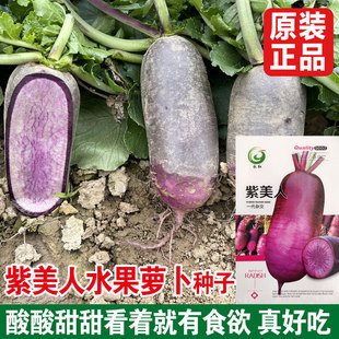 �P��ˮ���}���N�ӼtƤ�t���}���N������ɳ�C�}��ԭ�b�}���N�Ӵ�ȫ