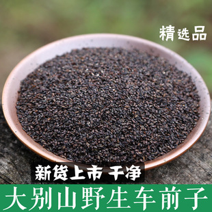 ܇ǰ����ș����Ʒ ܇ǰ���� ܇ǰ�Ӳ� ܇ǰ�� ���ؼ�Ұ����ˮ