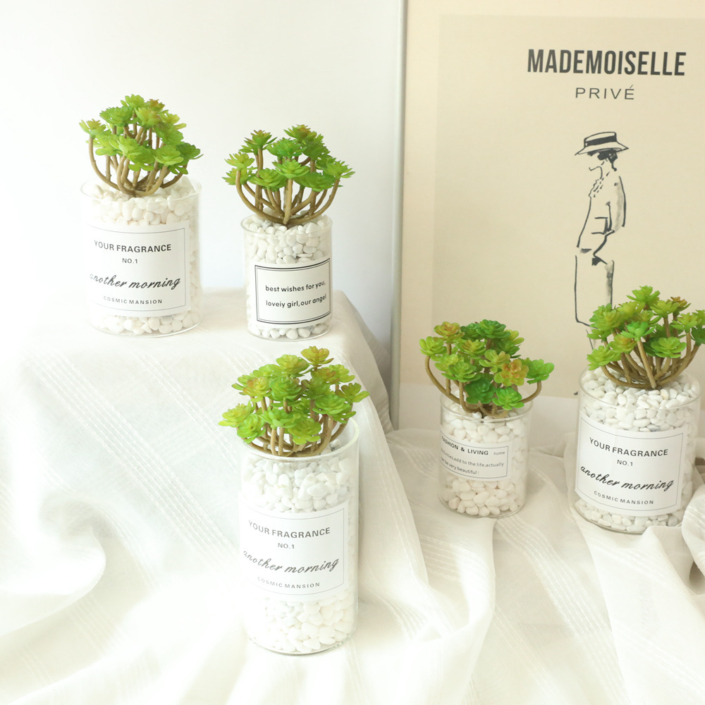 廠家假花 24叉仙人棵 仿真花室內綠植牆 微景觀多肉仿真MW17664