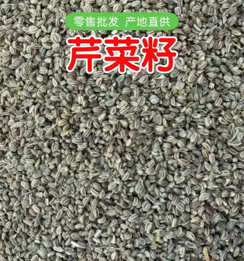 Celery Seed Clean Whole Dried Apium graveolens for Culinary Spice and Herbal Powder overview