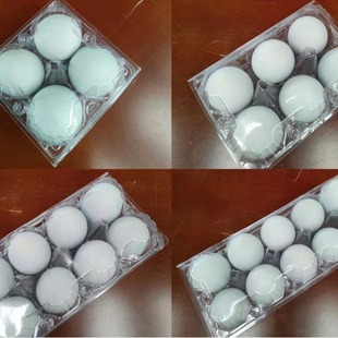 Factory Direct supply salted duck egg disposable plastic transparent duck egg tray 4/6/8/10/12/15 duck egg packing box