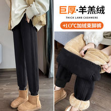 热裤一条过冬孕妇裤加厚加绒保暖羊羔绒运动孕妇裤棉裤宽松卫裤