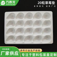 山东厂家供应塑料单面20粒草莓托 水果包装托盒可来图询问