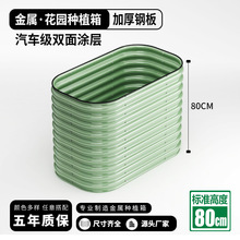 80���׸߽��ٷNֲ��N����Ϲ��߲��������@�ֻ���ͥԺ��픲ˈ@