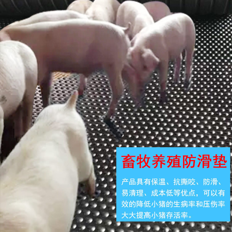养猪场猪舍高弹橡胶垫黑色防滑耐磨橡胶畜牧垫龟背纹猪仔保温垫