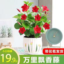 �f���h���ٻ������������������Gֲ�ļ�ֲ���҃�����ͥԺ�׻���B