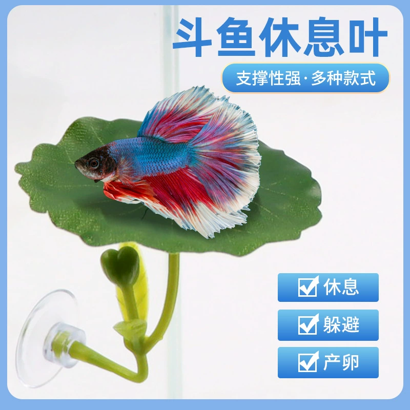 Листья бетта отдыхают и избегают листьев нереста листьев лотоса имитация листьев водорослей для сна