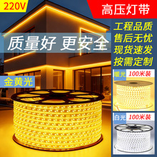 ������z�􎧷Շ�������������ˮ����220v���z�߉���led���l