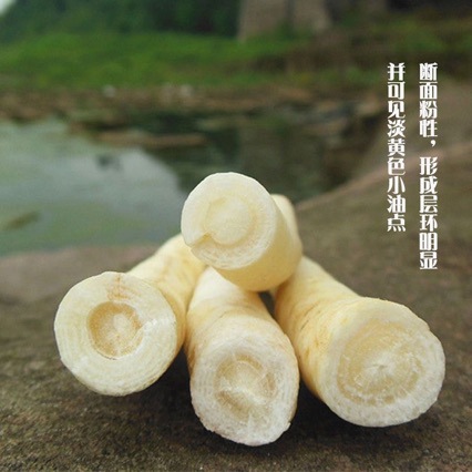 Chuan Ming Sha Shen (Adenophora stricta) — Sulfur-Free Dried Root for Nourishing Soups quality and texture