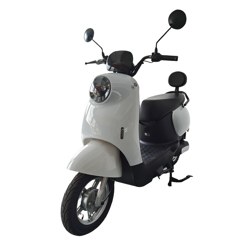 Motuoche Electric Motorcycle Electric Bicycle (Auto Parts and Accessories) - 1000w-bare-car