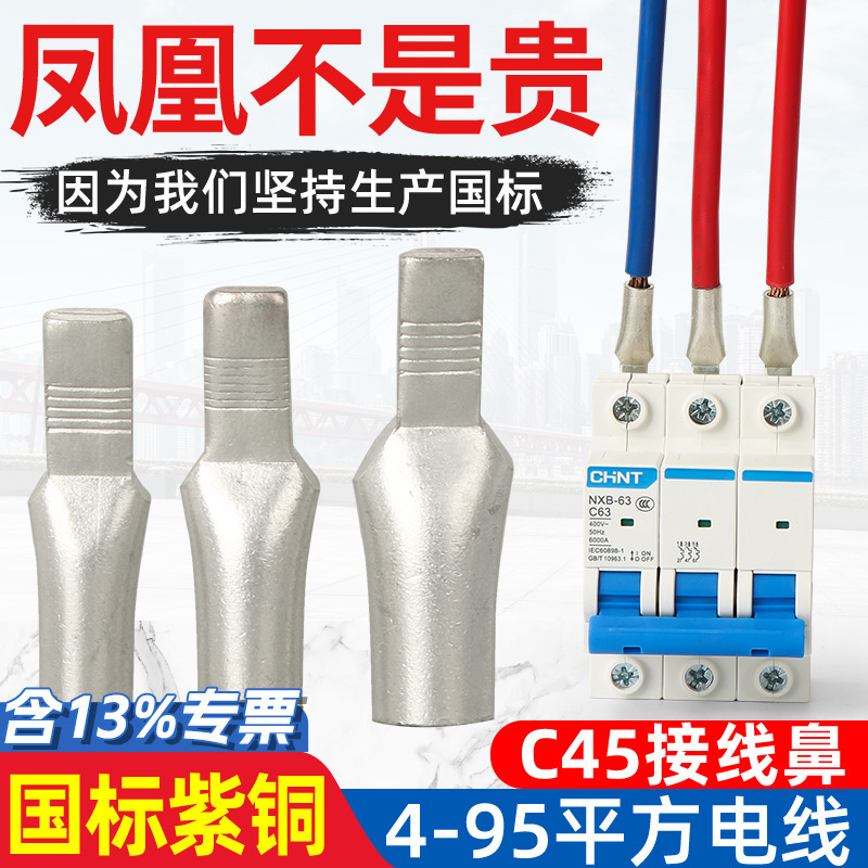 Phoenix C45-4/6/10/16/25/35/50/70/95 Terminal Block Duckbill Tongue Terminal Nose Pin National Standard