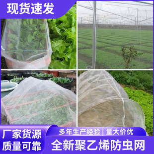 �r�I������x�W����80Ŀ���W�Ӻ�60Ŀ2�׌����þW40Ŀ�N�˷��x�W