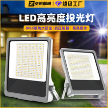 ledͶ��� �����ˮ���}��/����/���I������ ���������������