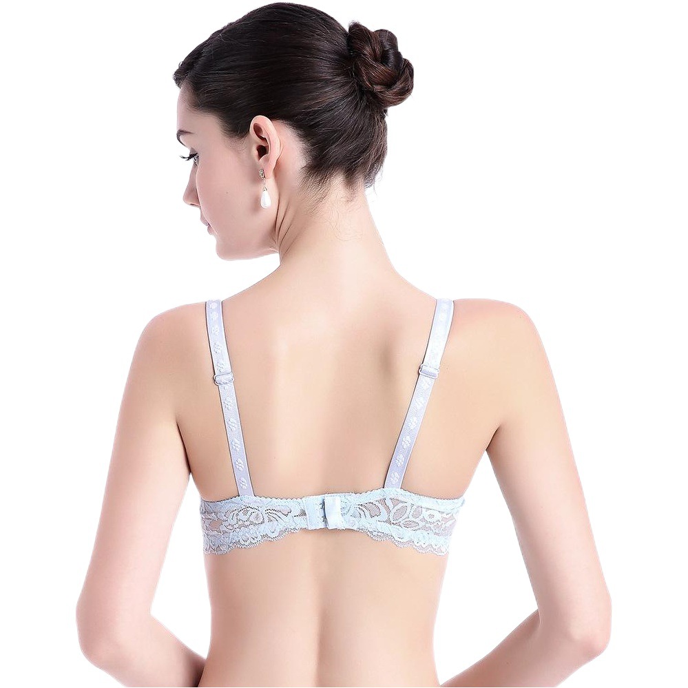Summer Thin Export Intimates Spring and Summer Full Lace Fully Transparent Sexy Steel Ring Bra Wholesale Bra 9988