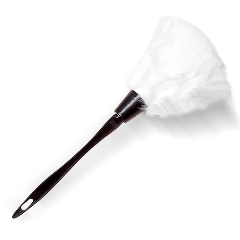 Black accessories, flirtatious short feather wand, teasing and stimulating wand, lingerie accessory, black slap.